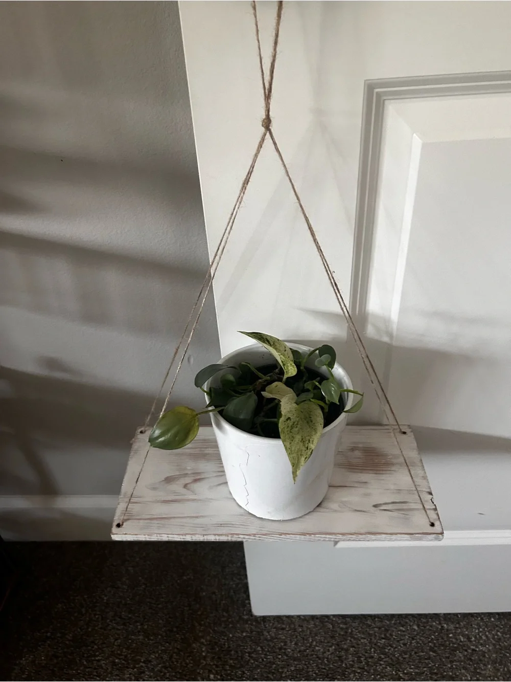 Hanging Wooden Shelf with Glass Planter - Green